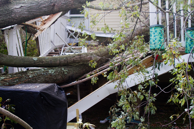 Downed tree demolished our deck & hit the roof